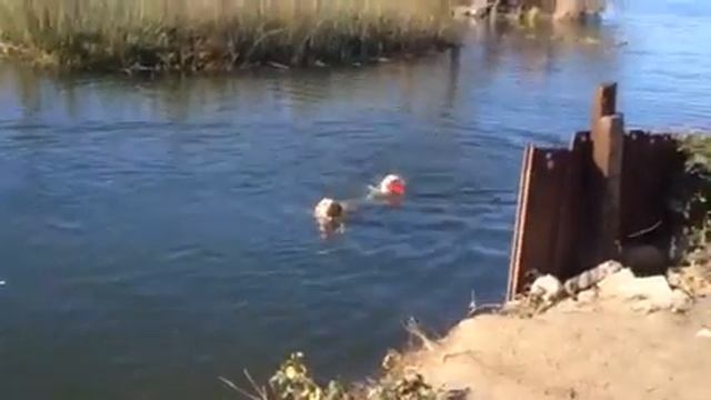 River Racing Labs смотреть онлайн