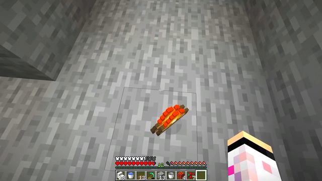 IO E LYON APRIAMO IL NEGOZIO DI MOBILI IN MINECRAFT VANILLA WGF! 🛁 смотреть онлайн