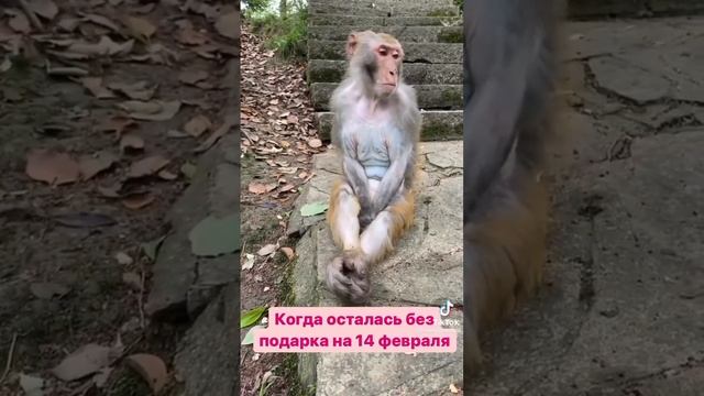 Обиделась смотреть онлайн