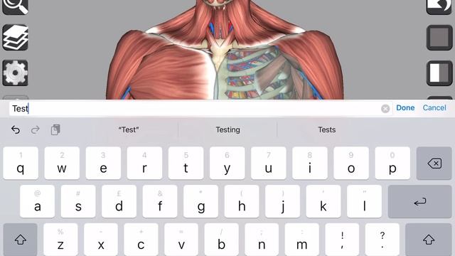 3D Anatomy App Tutorial смотреть онлайн