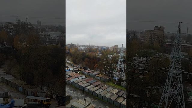 5 ноября 2023. воскресенье, 11 мес. в Питере..