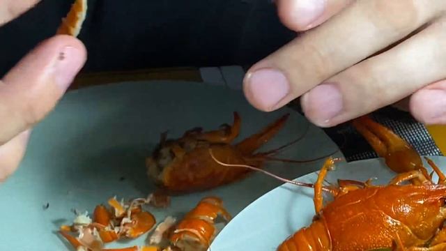 КАК ПРАВИЛЬНО ЕСТЬ РАКОВ смотреть онлайн