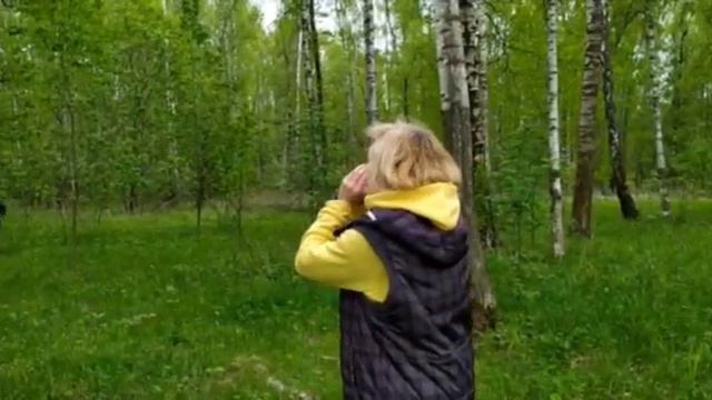 Прогулка в лес смотреть онлайн