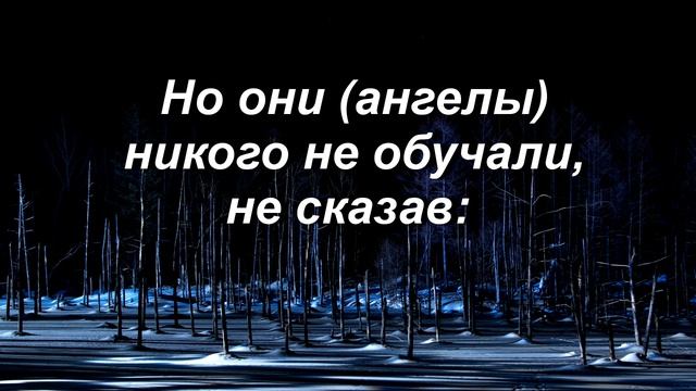 Сальман Аль Утайби . Аль-Бакара (Корова), 102-й аят смотреть онлайн