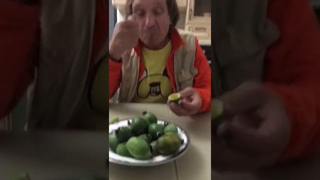 Технология поедания фейхоа смотреть онлайн