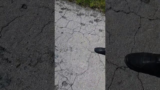 жук усач смотреть онлайн