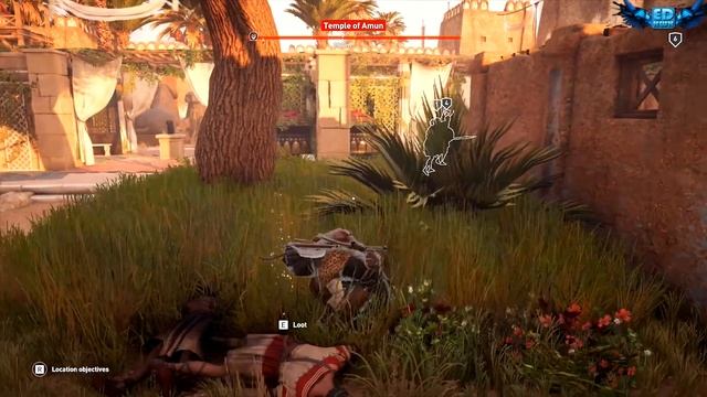 Assassin's Creed Origins No Survivors - The False Oracle Medunamun смотреть онлайн