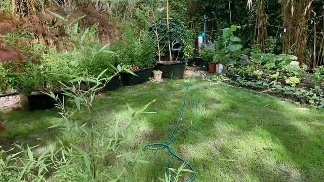 Garden Jam#1 - Octatrack, Moog Subharmonicon, Vermona DRM1, Jomox T-Resonator смотреть онлайн