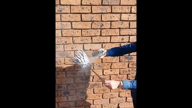 Spray painting Proteas смотреть онлайн