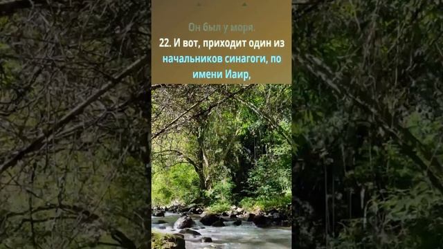 Евангелие от Марка - Глава 5. Читаем Библию под музыку - #VerticalVideoBible смотреть онлайн