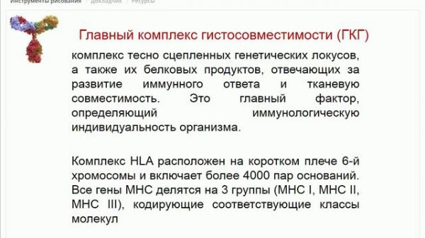 Основы иммунологии