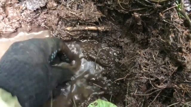 Вы даже не знаете!!А все ещё под землей !!!