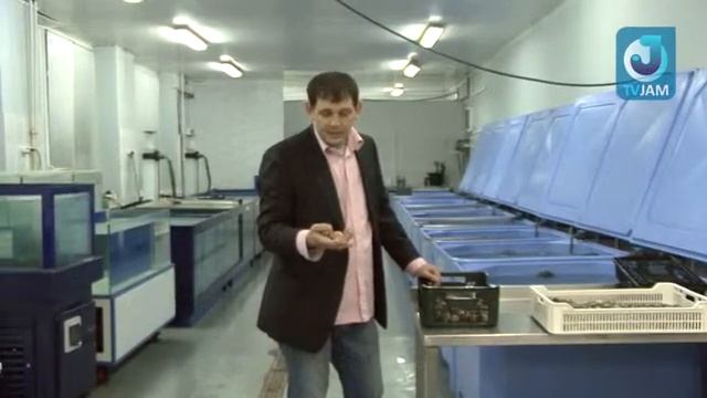 2010 07 13 Выбор морепродуктов Вонголе, морской миндаль, морской гребешок смотреть онлайн