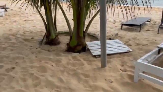 Вьетнам, Фукуок 2022/ Отель Sea star resort,заселение, завтрак, пляж Лонг бич/ смотреть онлайн