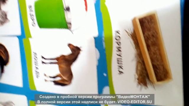 занятия с ребенком с РАС смотреть онлайн