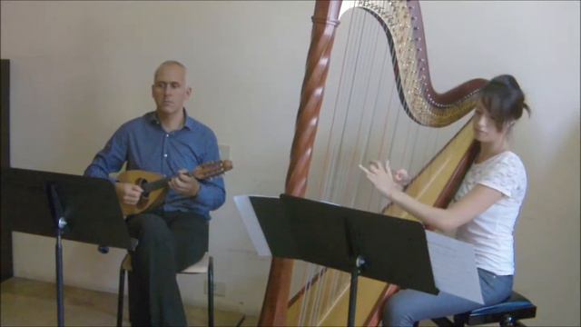 Raffaele Calace VI Mazurka for mandolin and harp смотреть онлайн