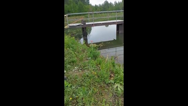 Рыбалка Экоранчо смотреть онлайн