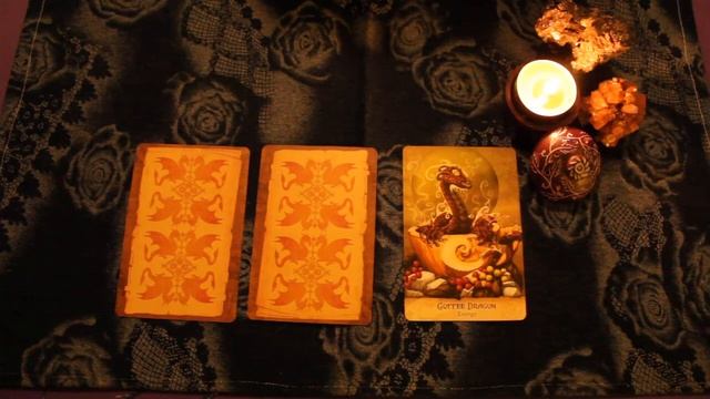 Daily Oracle Reading (The Field Guide to the Garden Dragons 11.23.19) смотреть онлайн