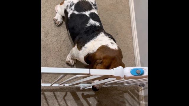Annie Mae Hears a Baby (Both in Diapers) смотреть онлайн