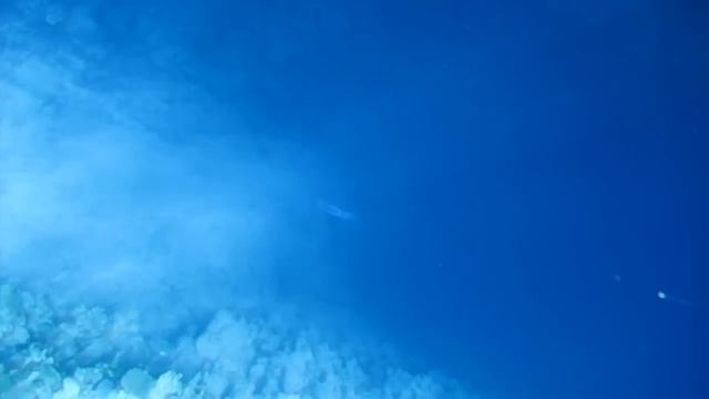 Freediving World Apnea Center смотреть онлайн