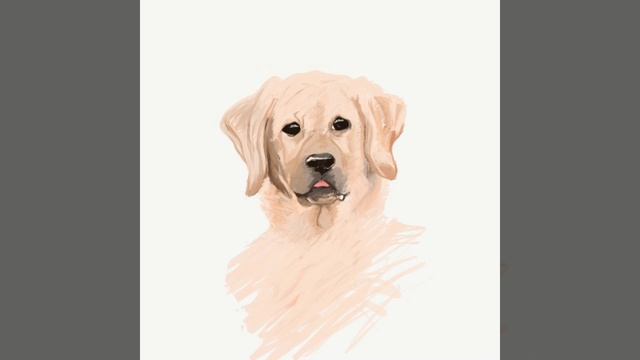 Adobe illustrator Draw | Dog Painting смотреть онлайн