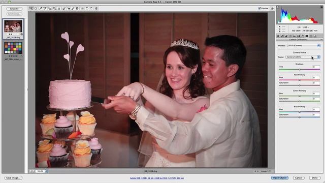 Camera Calibration Panel: How To Accurately Manage Color Within Photoshop’s Camera Raw Plugin смотреть онлайн