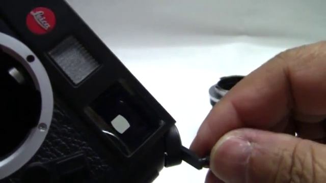 Leica M7 + M-Summicron 50mmF2