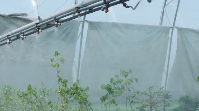 Способы лесовоставновления смотреть онлайн