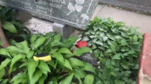 Реставрация букв и покраска на цветном граните .