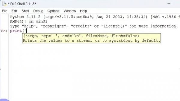 Install Python 3.11.5 on Windows with Visual Studio Code Setup