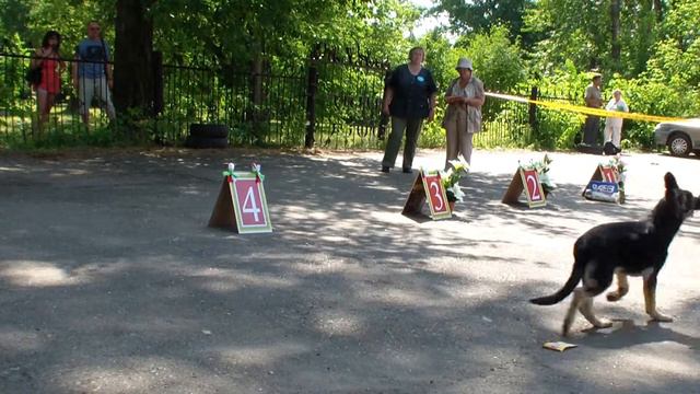 allbestdog.ru; bestdog.mybb.ru, ПК Казань, 23.06.2013, бебик сука смотреть онлайн