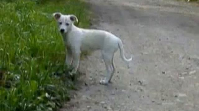 Ксения Тихонова - 