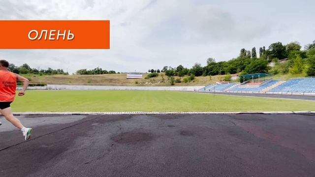 Специальные беговые упражнения (СБУ) | EfimovTeam смотреть онлайн