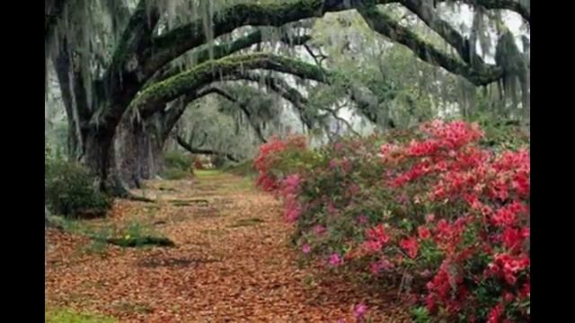 Ну блин как. смотреть онлайн