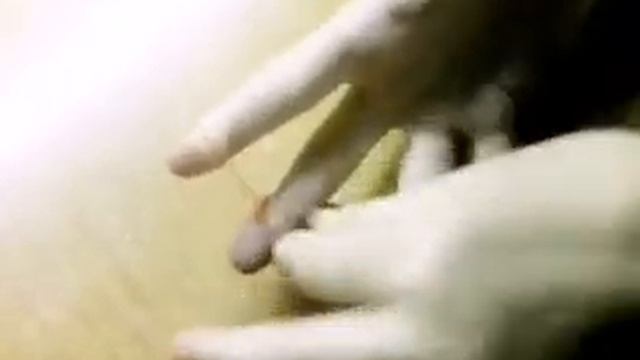 Паутинка на пальцах. смотреть онлайн