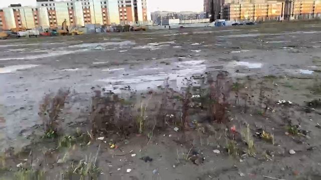 Гуляем по Балтийской Жемчужине (СПб) смотреть онлайн