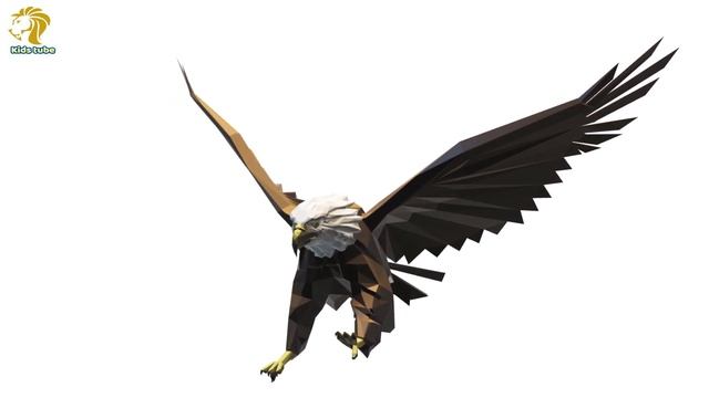 Eagle Voice | Eagle Sound | Eagle Sounds Effects | Eagle Sounds HD | ?? #Eagle #Eaglevoice