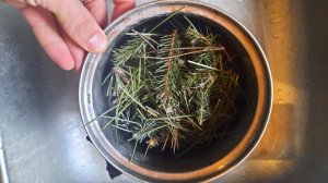 Как сделать отвар из хвои для питья!