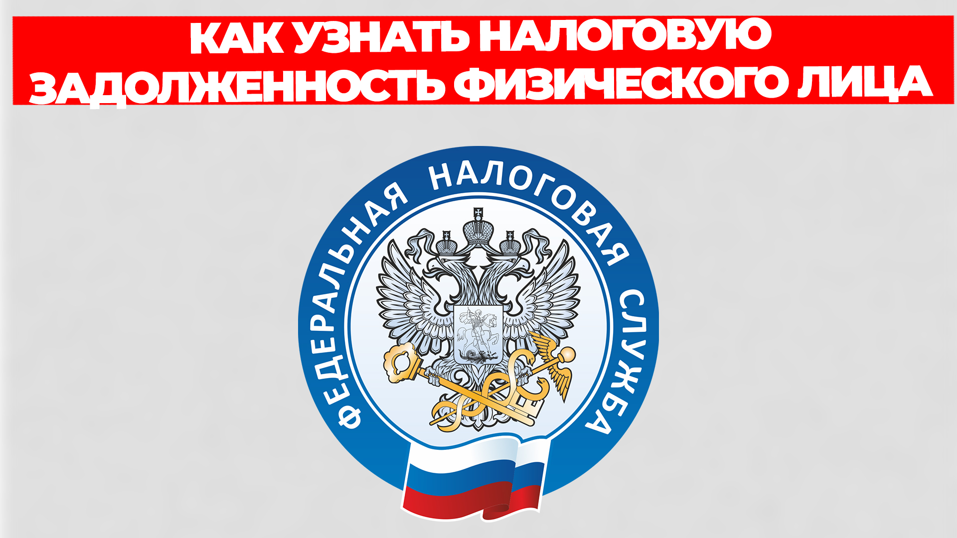 Всезнающий Енот