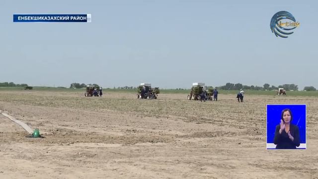 Аким области ознакомился с социально-экономическим развитием Енбекшиказахского района смотреть онлайн