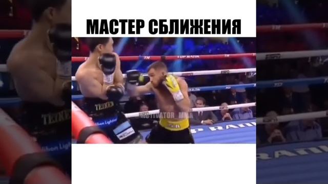 мастер сближения #ломанченко #мма #UFC #бокс #мастер смотреть онлайн