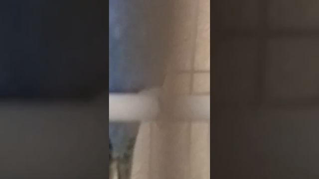 Как выбрать молодого волнистого попугая ??? смотреть онлайн