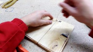 Ловушка для птиц | Как сделать ловушку для птиц | Как поймать голубя синицу