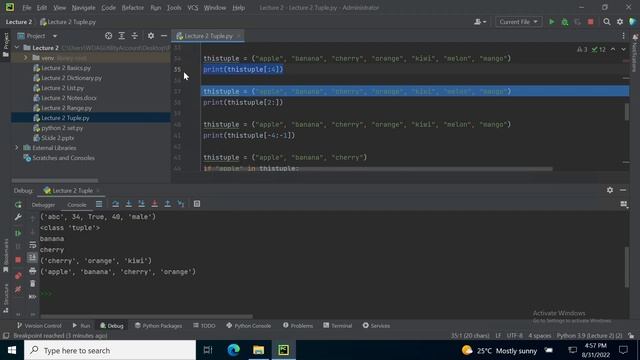 Python Basics Lecture 2 : advance data type TUPLE смотреть онлайн