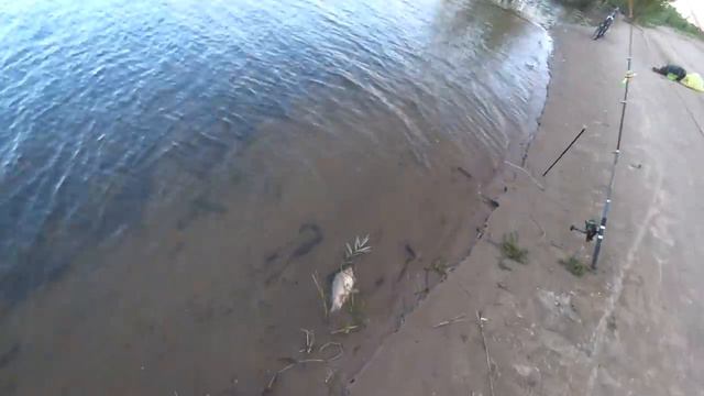 Река Ахтуба. Вода падает потихоньку. Рыбалка с ночевкой. смотреть онлайн