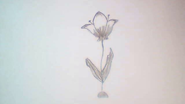 рисованная анимация цветок смотреть онлайн