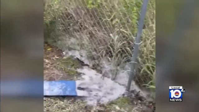 Men caught on camera illegally dumping wastewater in Miami-Dade смотреть онлайн