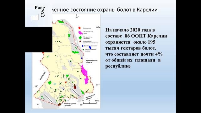 Современное состояние и перспективы формирования сети охраняемых болот в Карелии смотреть онлайн