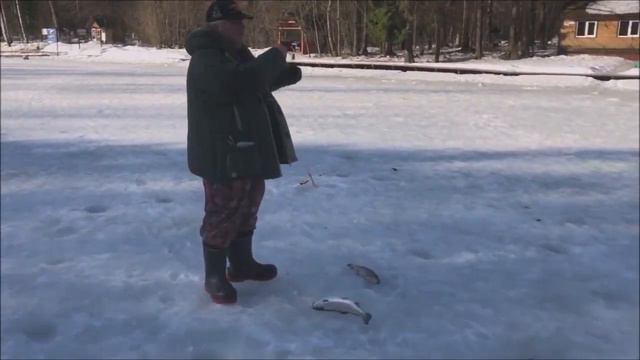 Рыбалка на основных водоёмах. Клёвое место Лосиный остров. смотреть онлайн