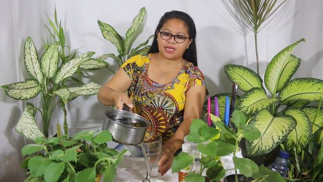 Oregano Benefits смотреть онлайн